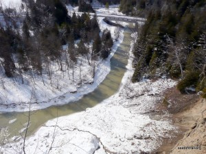 View up river towards White's road, near Forestream Trail