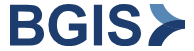 BGIS - Facilities Management Services