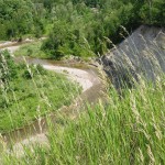 Looking out over the West Duffins creek