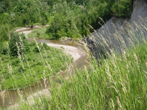 Looking out over the West Duffins creek