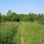 Seaton Trail passing through a field