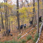 Hikers on the Seaton Trail