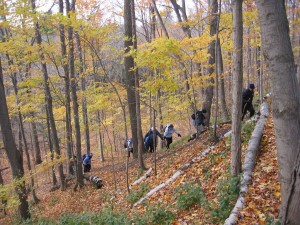 Hiking on the Seaton Trail