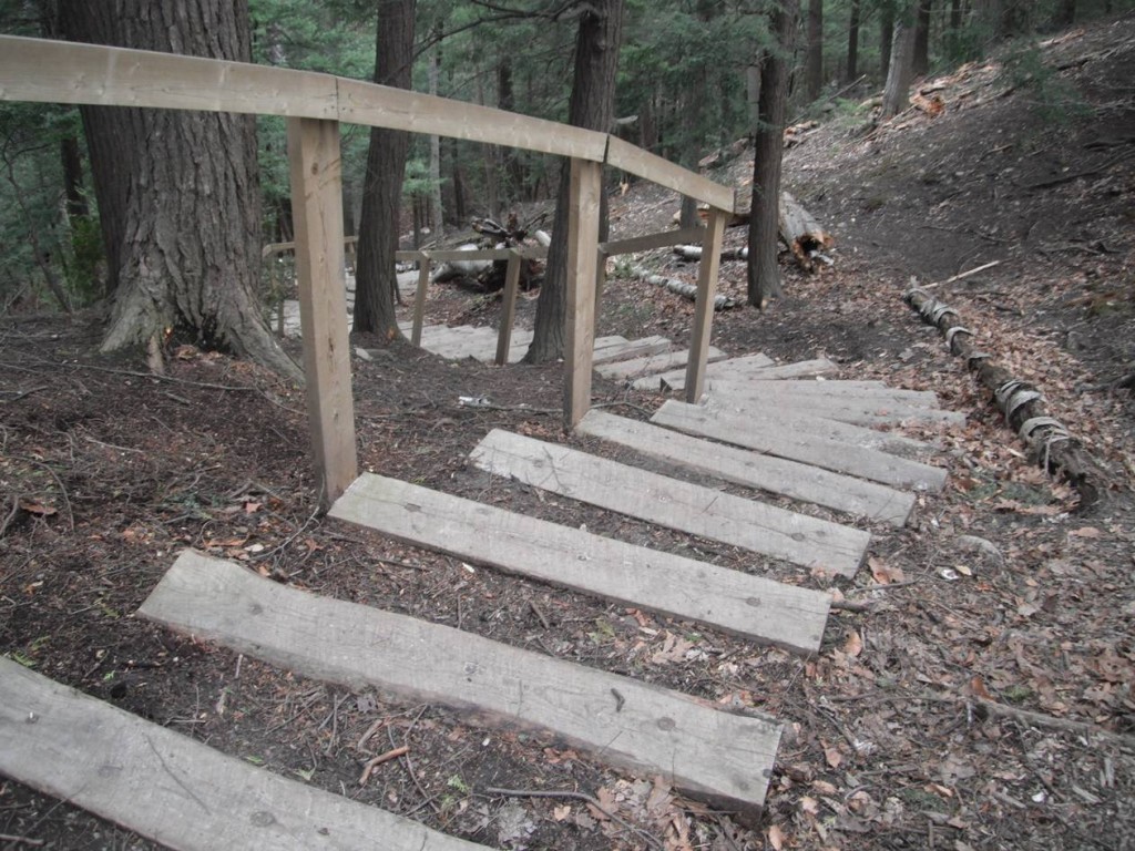 Old wooden staircase at Forestream - downhill