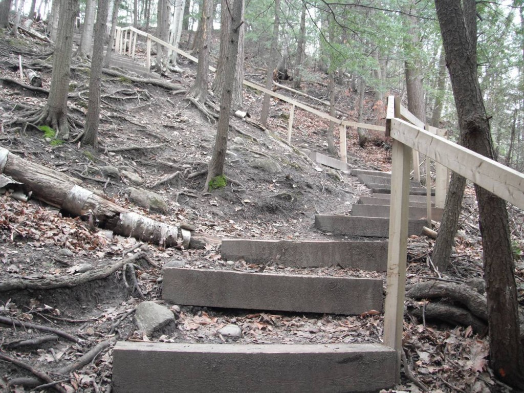 Old wooden staircase at Forestream - uphill