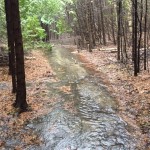 Forestream and hydro line trail flooding 1