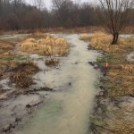 Forestream and hydro line trail flooding 3