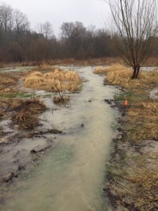 Forestream and hydro line trail flooding 3